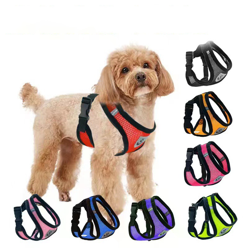 Caliente verano perro pequeño  - Mini Trampoline Spring reseña y precio