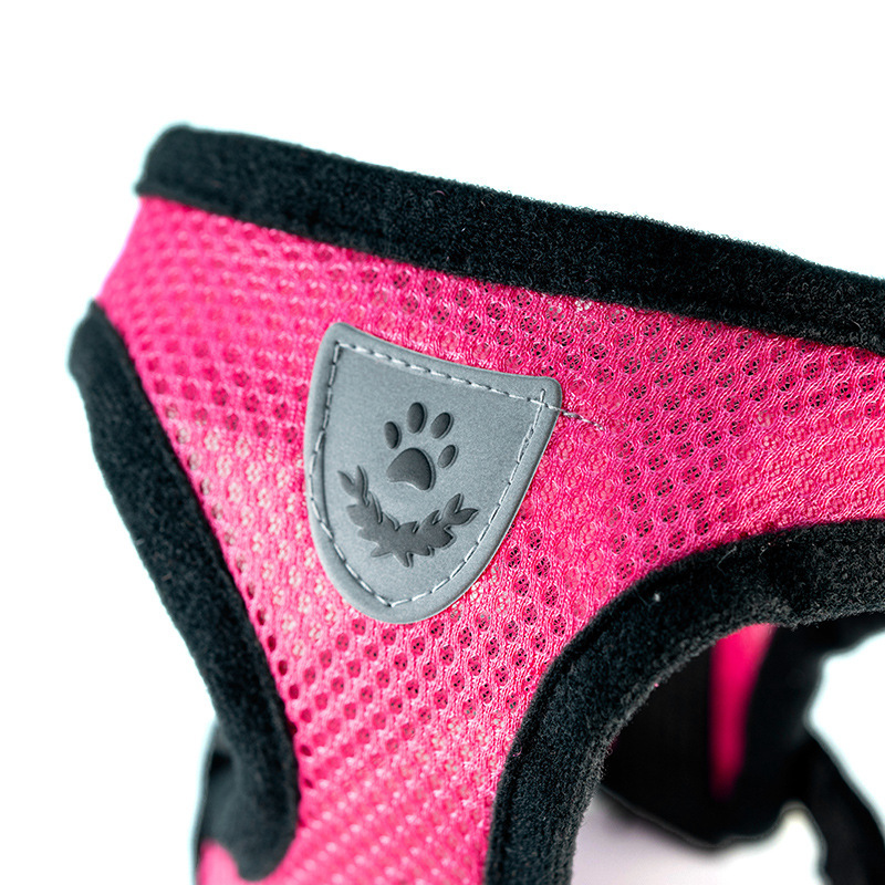 Caliente verano perro pequeño  - Mini Trampoline Spring reseña y precio