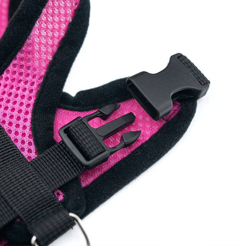 Caliente verano perro pequeño  - Mini Trampoline Spring reseña y precio